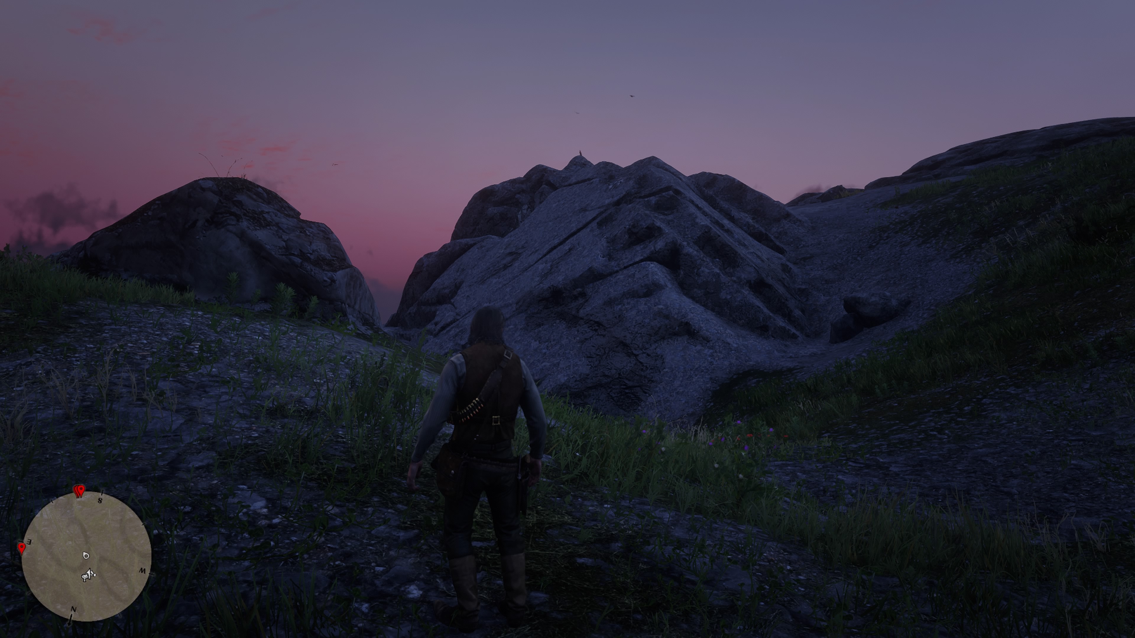 Hidden Bird Nest RED DEAD REDEMPTION 2 情報&攻略 wiki RDR2 atwiki